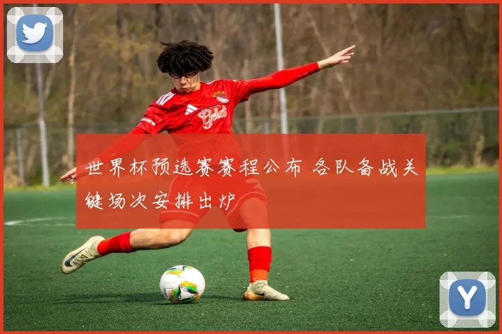世界杯预选赛赛程公布 各队备战关键场次安排出炉
