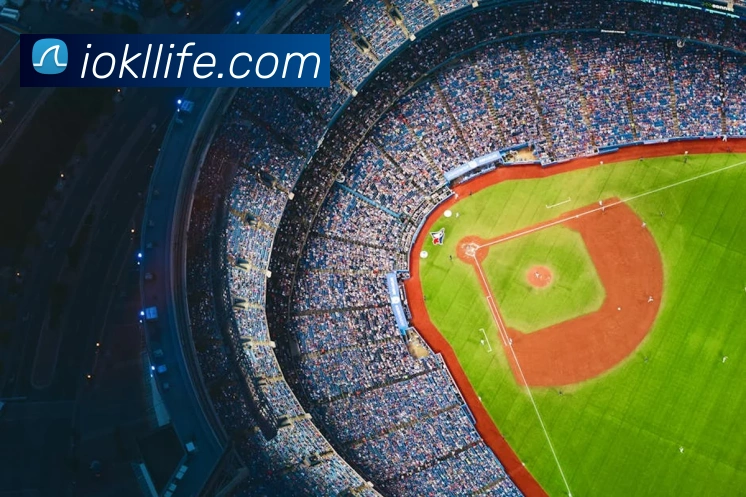 三亿体育服务体系